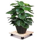 Tplantcaddy12inch Tosnail Square Wooden Plant Caddy Stand With Wheels Free Shipping