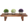 Unbranded Wooden Stepped Plant Stand Balcony Garden Flower Display Hg