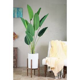 Upshining 694536779747 Mid-century Modern Wood Stand With Tall Cylinder White Brown