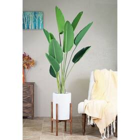 Upshining 694536779754 Mid-century Modern Tall Cylinder White Ceramic Planter 10 Inch Brown