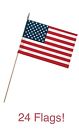 Use8b Valley Forge Stick Flags 093581900012