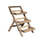 V1625 Vifah Renaissance Eco-friendly Hand