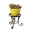 W1u3113935zi6q86239 Unbranded Metal Shelf Flower Pot Plant Stand Rack 191599819156