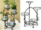 Wrought-iron-plant-stand-25065 Wrought Iron Plant Stand 5991905425065