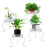 Wvs1738669 Garfans Flower Holder Single Layer Plant Stand Garden Patio In