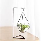 Yykqzj02 Mkono Air Plant Stand 6986922773281