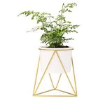 Yytjtc001 Ceramic Planters Planter Metal Stand Tabletop Succulent Pot 713831405509