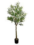 Wildwood & Cypress 60 Realistic Olive Tree Variegated Foliage Faux Indoor Plant. Fixed Price $130.00.