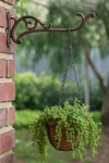 Rustic Cast Iron Plant Hanger Hook 10" Wall Mount Bracket For Hanging Baskets. Fixed Price $11.66.