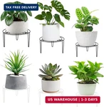 6-PIECE Set Metal Plant Stands, Heavy-duty Rustproof Iron Flower Pot Holders,. Fixed Price $45.69.