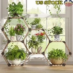 Hexagonal Plant Stand Natural Wood Eucalyptus Multi-shape Diy Shelf Stable New. Fixed Price $39.09.
