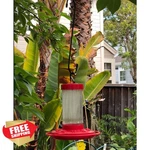 Lchkrep 10" Black Plant Hooks 6PK Garden Patio Outdoor Indoor. Fixed Price $20.00.