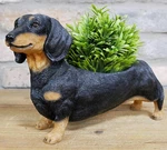 Dachshund Indoor Garden Patio Herb Planter Ornament Sausage Dog Lover Gift. Fixed Price $33.79.