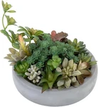 Mygift Faux Assorted Succulent Plants In Round Gray Cement Planter Pot. Fixed Price $44.99.