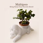 Maltipoo Planter For 4 Inch Nursery Pots Animal Lover Gift Indoor Deco. Fixed Price $56.99.