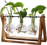 Plant Terrarium Wooden Stand 3 Bulb Glass Vase For Home Garden Office Decoration. Fixed Price $24.71.