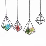 Geometric Air Plant Hangers - 4 Pack Black Metal Tillandsia Display Cages Han.... Fixed Price $31.06.