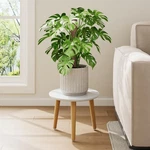 White Small Wood Plant Stand Table Indoor Tall Holder Stool Living Room. Fixed Price $33.15.