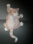 Spoontiques Cat Thermometer 8.5" X 4" (037). Fixed Price $13.49.
