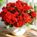 4 Pcs Fake Outdoor Flowers Artificial Red Faux Plants For Garden Decor Set. Fixed Price $18.99.