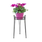Cobraco Canterbury 21-INCH Black Scroll Top Plant Stand SCBPS1021-B. Fixed Price $76.73.