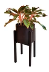 Adjustable Black Metal Plant Stand Dual Height Options Powder Coated Steel Frame. Fixed Price $26.99.