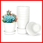 8 Pcs White Small Round Casual Plant Pots, Succulent Indoor/outdoor, Re.... Fixed Price $15.19.