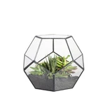 Ncyp Small Open Terrarium Planter - 6.89" X 5.9" Pentagon Geometric G.... Fixed Price $40.46.