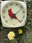 Vintage Taylor Cardinal Thermometer Indoor Outdoor Large Dial Works Nice! Great!. Fixed Price $39.99.
