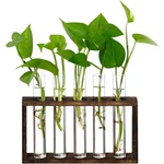 Xxxflower Propagation Station,plant Terrarium 5 Test Tubes, Clear. Fixed Price $20.39.