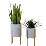 Aspire Mid-century Modern Planter Set Of 2 Gray Indoor Pots With Golden. Fixed Price $109.49.