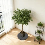 Plant Caddy With Wheels, Round Stand Furniture Cart. Fixed Price $58.32.