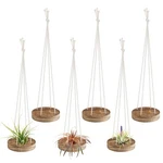 6 Pcs Hanging Wooden Holder - 3" Round Airplants Live Hanger With R.... Fixed Price $25.76.