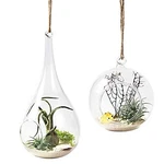 Mkono 2 Pack Glass Hanging Planter Air Fern Holder Terrarium Plants Hanger Vase. Fixed Price $21.09.