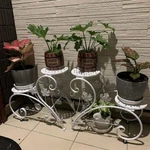 2PCS Half Heart Shaped Metal Plant Stand Flower Pot Holder Shelf Indoor Garden. Fixed Price $35.93.