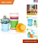 Delightful 8-PC Color Mixed Plant Pots Perfect For Indoor Greenery & Gifts. Fixed Price $10.99.