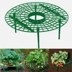 1/3/5PCS Strawberry Stand Frame Holder Balcony Planting Rack Fruit Support. Fixed Price $5.51.