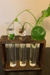 Mkono Wall Hanging Propagation Glass Planter Station 3 Tubes 6"L X 2"W. Fixed Price $14.00.