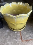 Yellow Scalloped Round Glossy Ceramic Pottery Decorative Indoor Outdoor Planter. Fixed Price $20.00.