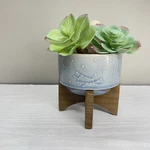 4 Inch Constellation Ceramic Pot Wood Stand Mid Century Flora Bunda Celestial. Fixed Price $20.00.