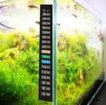 10 Xstick On Thermometer Strip Adhesive Sticker Home Brewing Fermenting Aquarium. Fixed Price $15.00.