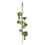 Baoyouni 7-LAYER Indoor Plant Stands Spring Tension Pole Metal Flower Display.... Fixed Price $106.24.