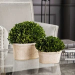 Uttermost 60107 Oval Domes Preserved Boxwood Terracotta Planters Set Of 2. Fixed Price $348.00.