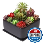 Mygift Modern Black Ceramic Square Indoor Small Planter Flower Succulent. Fixed Price $51.08.