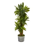 Nearly Natural 58" Corn Stalk Dracaena Embossed Tin Planter (real Touch). Fixed Price $228.99.