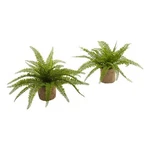 Nearly Natural Boston Fern With Burlap Planter (set Of 2) In Green. Fixed Price $64.99.