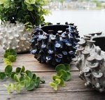 Handmade Porcelain Coral Vase Small Flower Pot Desk Decor 4" (sri Sea Anemone). Fixed Price $62.99.