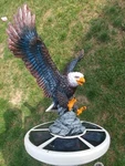 Flagpole Eagle On Approach Topper Finial Ball Hand Painted Usa Real / Lifelike. Fixed Price $89.50.