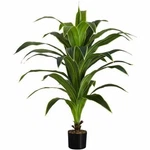 Monarch Specialties Artificial Plant - 47"H / Indoor Dracaena I9542. Fixed Price $311.89.