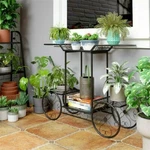 6 Tiers Garden Cart Stand & Flower Pot Plant Holder Display Rack Parisian Style. Fixed Price $39.98.